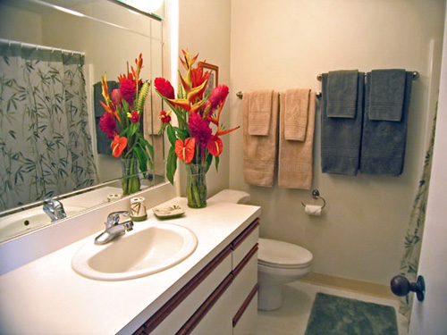 Main hallway bathroom